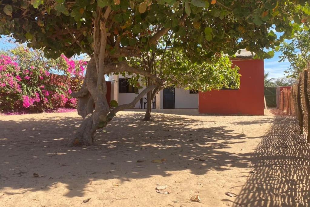 Petite Maison En Bord De Mer Palmarin Nguedj Esterno foto